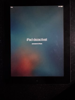 Apple iPad Negro