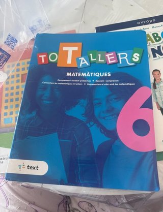 TOT TALLERS Matemàtiques 6