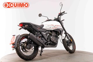 MORBIDELLI NR 125 X