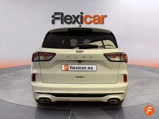 Ford Kuga ST-Line 2.0 EcoBlue 88kW (120CV) Auto