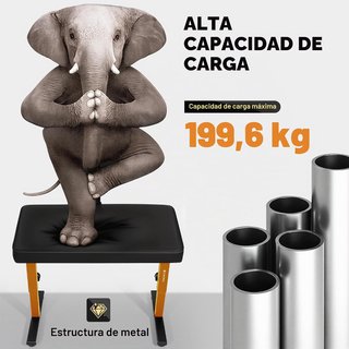 Banco Poresional de Piano Ajustable con Respaldo