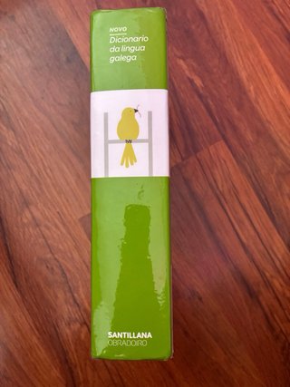 Novo dicionario da lingua galega