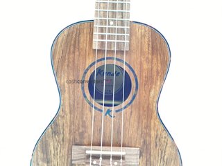 ukelele kunde mars 23