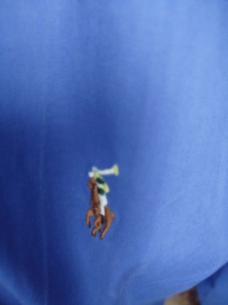 Camisa Ralph Lauren azul
