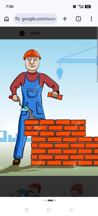 Albañil profesional y pintor