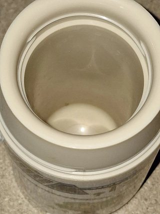 Termo Disney World Mickey Mouse