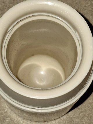 Termo Disney World Mickey Mouse