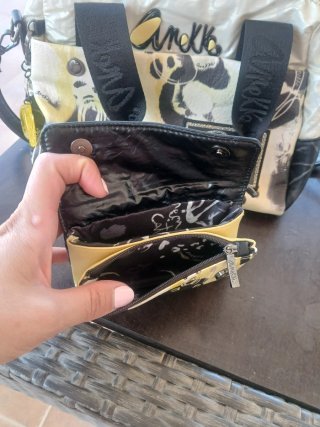 Bolso y monedero Anekke