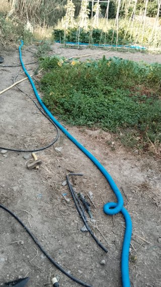 Motor de riego