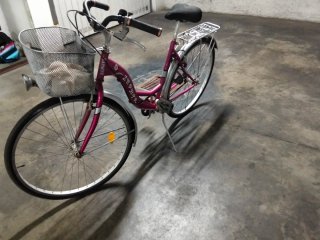 Bicicleta Zephyr rosa