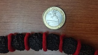 Collana con semi di rudraksha