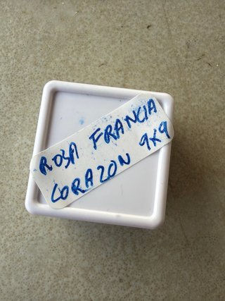 Rosa de francia corazon