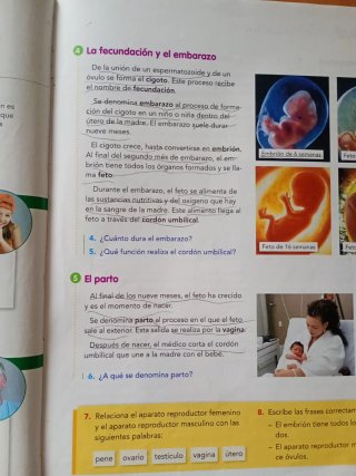 Naturales, 4 Educación Primaria, Comunidad de M...