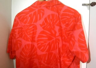 Camisa verano hawaiana Primark