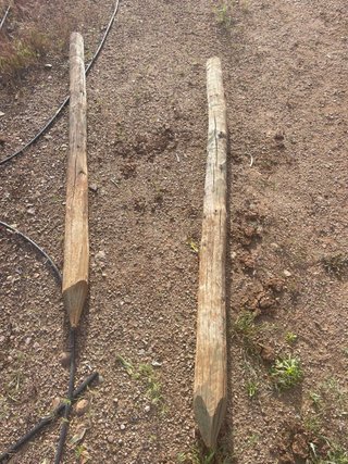 Poste/Tutor Madera para Jardín
