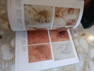 Leonardo da Vinci, 1452-1519 obra pictórica com...