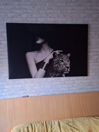 Cuadro Impresión Mujer y Leopardo
