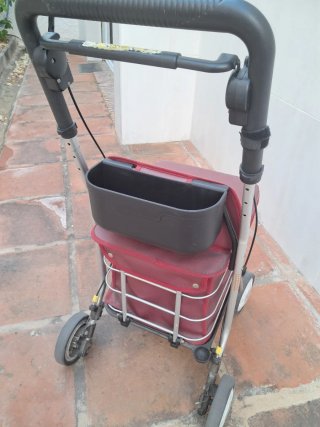 Andador Carrito Asiento Carlett