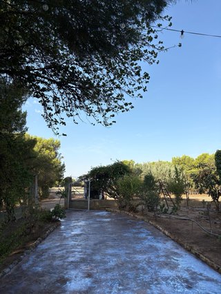 Pavimento impreso y teñido