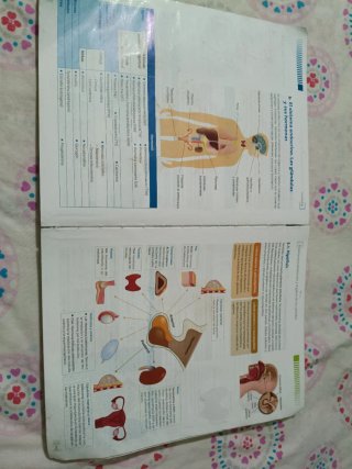 Técnicas básicas de enfermería