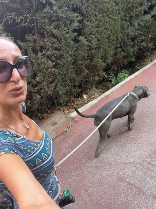 Paseo tu perro, o cuido tu mascota.