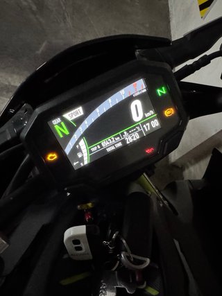 Kawasaki Z900 A2 2020 Verde/Blanco