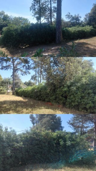Jardinero Particular