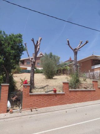 Jardinero Particular