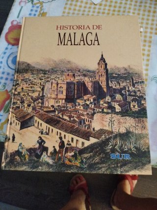 Libro historia de malaga