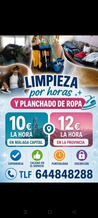 Limpieza por horas