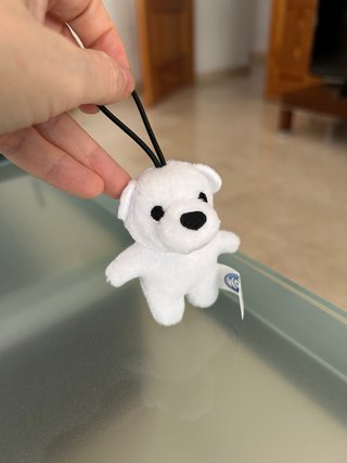 Osito polar, nuevo