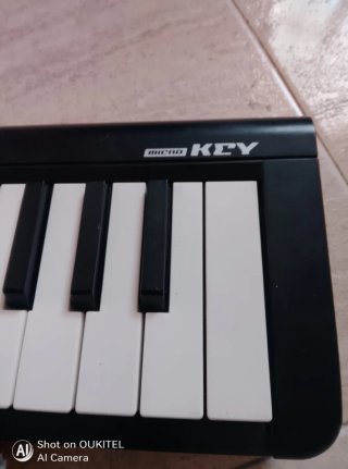 Korg microKEY Controlador MIDI