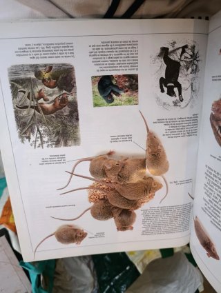 Enciclopedia Visual de los seres vivos tomo 2