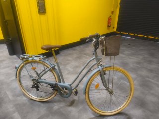 Bicicleta Holandesa con cesta