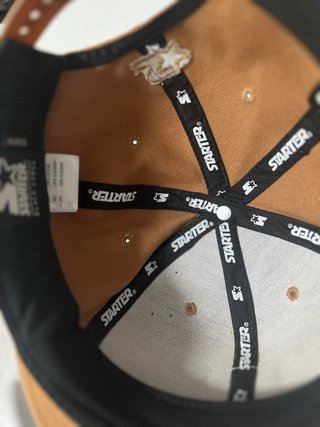 Gorra Carhartt Hamilton Marrón