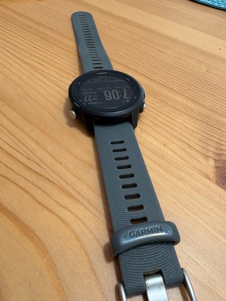 Reloj Garmin Forerunner 245 (2022)