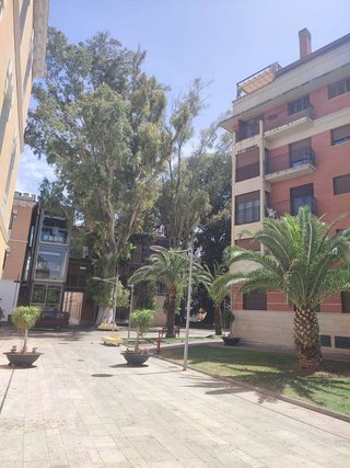 Piso en alquiler en El Carmen en Murcia