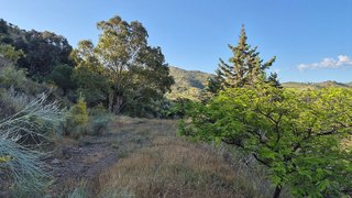 Terreno en venta en Pizarra