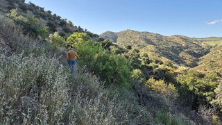 Terreno en venta en Pizarra