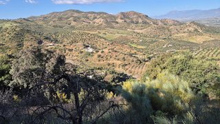 Terreno en venta en Pizarra