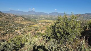 Terreno en venta en Pizarra