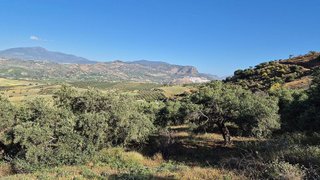 Terreno en venta en Pizarra