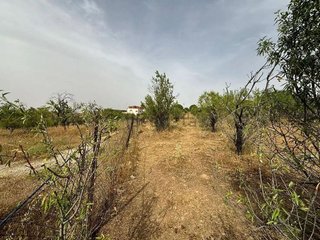 Terreno en venta en Mejorada del Campo