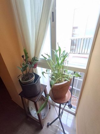 Piso en venta en Ayuntamiento - Catedral en Cádiz