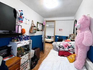 Piso en venta en Casco Histórico de Vallecas en Madrid
