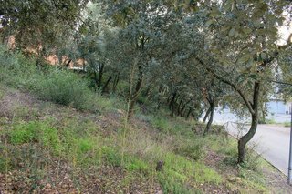 Terreno en venta en Bigues en Bigues i Riells