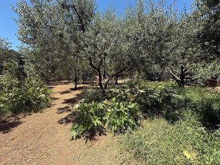 Terreno en venta en Migjorn en Reus