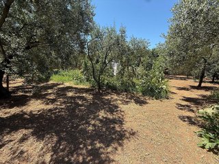 Terreno en venta en Migjorn en Reus