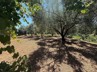Terreno en venta en Migjorn en Reus