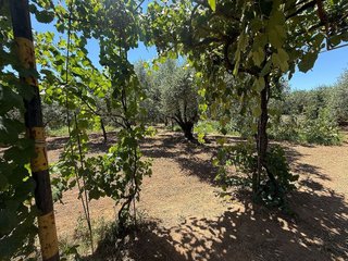 Terreno en venta en Migjorn en Reus